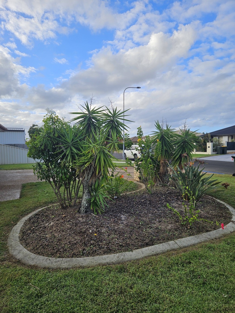 Weeds in garden - after Large